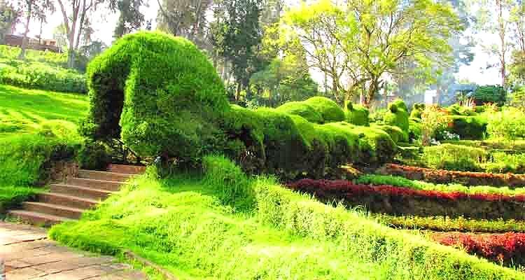 Chettiar Park, Kodaikanal