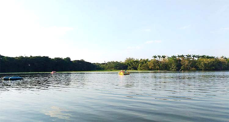 Karanji Lake, Mysore