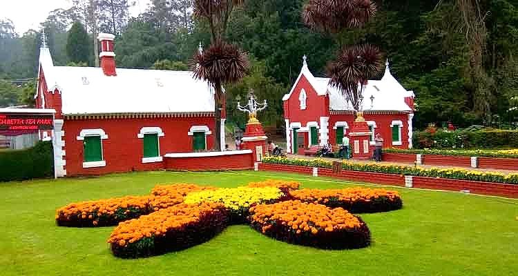 Ooty Botanical Garden
